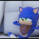 Sonic Doesn't Care meme