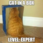 Cats and their boxes. | CAT IN A BOX LEVEL: EXPERT | image tagged in interesting cat | made w/ Imgflip meme maker