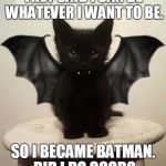 Cute | THEY SAID I CAN BE WHATEVER I WANT TO BE. SO I BECAME BATMAN. DID I DO GOOD? | image tagged in bat cat | made w/ Imgflip meme maker