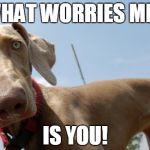 Hello! | WHAT WORRIES ME... IS YOU! | image tagged in hello | made w/ Imgflip meme maker