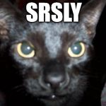 srsly byron the cat | SRSLY | image tagged in srsly byron the cat | made w/ Imgflip meme maker