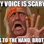 Hulk hogan | MY VOICE IS SCARY? TALK TO THE HAND, BROTHER. | image tagged in hulk hogan | made w/ Imgflip meme maker