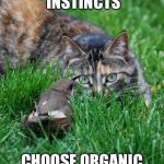 trust your instincts | TRUST YOUR INSTINCTS CHOOSE ORGANIC AND FRESH | image tagged in cat and bird,memes,food | made w/ Imgflip meme maker