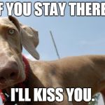 Hello! | IF YOU STAY THERE.. I'LL KISS YOU. | image tagged in hello | made w/ Imgflip meme maker