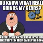 Is this annoying? | YOU KNOW WHAT REALLY GRINDS MY GEARS? WHEN PEOPLE TALK ON THE PHONE IN THE LIBRARY LIKE THEY'RE IN THEIR OWN LIVING ROOM | image tagged in peter griffin news,you know what really grinds my gears | made w/ Imgflip meme maker