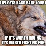 Wolf | WHEN LIFE GETS HARD BARE YOUR FANGS. IF IT'S WORTH HAVING IT'S WORTH FIGHTING FOR. | image tagged in wolf | made w/ Imgflip meme maker