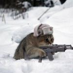Cute Sad Soviet War Kitten