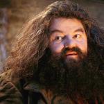 hagrid