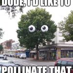 Unpoplar Tree | DUDE, I'D LIKE TO POLLINATE THAT | image tagged in unpoplar tree | made w/ Imgflip meme maker