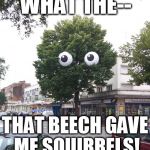 Unpoplar Tree | WHAT THE-- THAT BEECH GAVE ME SQUIRRELS! | image tagged in unpoplar tree,memes,stds,tree,eyes | made w/ Imgflip meme maker