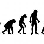 Human Evolution meme