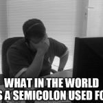 Programmer Facepalm | WHAT IN THE WORLD IS A SEMICOLON USED FOR | image tagged in programmer facepalm | made w/ Imgflip meme maker