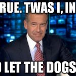 Brian Williams | IT'S TRUE. TWAS I, IN FACT, WHO LET THE DOGS OUT. | image tagged in brian williams | made w/ Imgflip meme maker