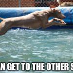 Long Jump | ¡I CAN GET TO THE OTHER SIDE! | image tagged in long jump | made w/ Imgflip meme maker