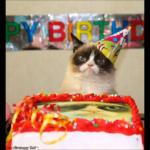 grumpy cat birthday