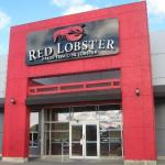 red lobster 