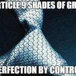 50 shades tie | ARTICLE 9 SHADES OF GREY PERFECTION BY CONTROL | image tagged in 50 shades tie | made w/ Imgflip meme maker