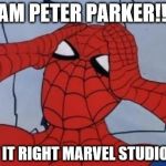 Spiderman is Confused. | I AM PETER PARKER!!!! GET IT RIGHT MARVEL STUDIOS!!! | image tagged in spiderman is confused | made w/ Imgflip meme maker