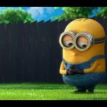 Minion 