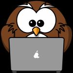 owl laptop