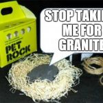 Pet Rock | STOP TAKING ME FOR GRANITE | image tagged in pet rock,puns | made w/ Imgflip meme maker