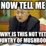 kim jung un | NOW TELL ME WHY IS THIS NOT YET A COUNTRY OF MUSHROOMS? | image tagged in kim jung un | made w/ Imgflip meme maker