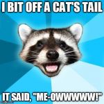 I BIT OFF A CAT'S TAIL IT SAID, "ME-OWWWWW!" | image tagged in lame pun coon | made w/ Imgflip meme maker