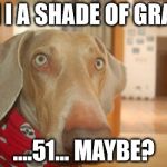 Come again? | AM I A SHADE OF GRAY? ....51... MAYBE? | image tagged in come again | made w/ Imgflip meme maker