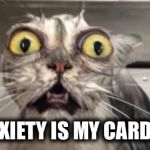 Crazy Cat | ANXIETY IS MY CARDIO. | image tagged in crazy cat | made w/ Imgflip meme maker