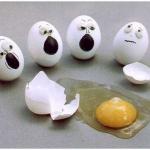 This Broken Egg