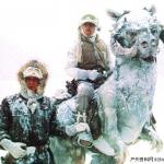 tauntaun