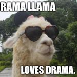 Drama Llama | DRAMA LLAMA LOVES DRAMA. | image tagged in cool llama,drama | made w/ Imgflip meme maker