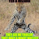 Leopard Dancing | YER A WIZARD THEY SEE ME TROLLIN' THEY, WAIT A MINUT WAT??? | image tagged in leopard dancing | made w/ Imgflip meme maker