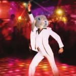 DISCO BUNNY meme