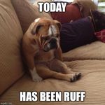bulldogsad | TODAY HAS BEEN RUFF | image tagged in bulldogsad | made w/ Imgflip meme maker