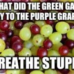 Grapes... | WHAT DID THE GREEN GAPE SAY TO THE PURPLE GRAPE? "BREATHE STUPID" | image tagged in grapes | made w/ Imgflip meme maker