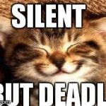Smiley Cat | SILENT BUT DEADLY | image tagged in smiley cat | made w/ Imgflip meme maker