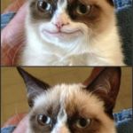 Happy Grumpy cat photoshop | PHOTOSHOP! | image tagged in grumpy cat,photoshop | made w/ Imgflip meme maker
