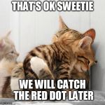 Consoling Kittens | THAT'S OK SWEETIE WE WILL CATCH THE RED DOT LATER | image tagged in consoling kittens | made w/ Imgflip meme maker