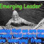 Creature From Black Lagoon | 'Emerging Leader' ... Notice that we are never really told where they are 'emerging' from .. ? | image tagged in creature from black lagoon | made w/ Imgflip meme maker