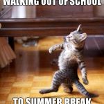 Me every friday | WALKING OUT OF SCHOOL TO SUMMER BREAK | image tagged in swag cat,like a boss,boss,cat,memes,funny cat | made w/ Imgflip meme maker