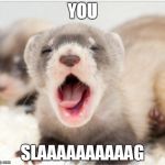 Ferret sleepy | YOU SLAAAAAAAAAAG | image tagged in ferret sleepy | made w/ Imgflip meme maker