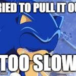 Too Slow | TRIED TO PULL IT OUT TOO SLOW | image tagged in too slow,sonic the hedgehog | made w/ Imgflip meme maker