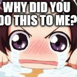 the crying anime girl | WHY DID YOU DO THIS TO ME?! | image tagged in the crying anime girl | made w/ Imgflip meme maker