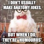 Science Cat | I DON'T USUALLY MAKE ANATOMY JOKES, BUT WHEN I DO, THEY'RE ' HUMOURUS'. | image tagged in science cat | made w/ Imgflip meme maker