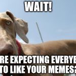 Wait... | WAIT! YOU'RE EXPECTING EVERYBODY TO LIKE YOUR MEMES? | image tagged in hello,meme | made w/ Imgflip meme maker
