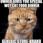 Dissatisfied Cat | OWNER GIVES YOU SPECIAL WET CAT FOOD DINNER GENERIC STORE-BRAND | image tagged in dissatisfied cat | made w/ Imgflip meme maker