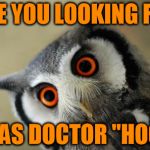 For Doctor Who fans:  | ARE YOU LOOKING FOR ME AS DOCTOR "HOO"? | image tagged in oooooooooooh really,doctor who | made w/ Imgflip meme maker