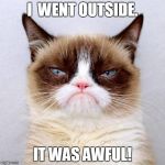 Grumpy Cat Outside | I  WENT OUTSIDE. IT WAS AWFUL! | image tagged in grumpy cat outside | made w/ Imgflip meme maker