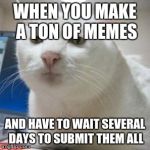 Serious Cat Times | WHEN YOU MAKE A TON OF MEMES AND HAVE TO WAIT SEVERAL DAYS TO SUBMIT THEM ALL | image tagged in serious cat times | made w/ Imgflip meme maker